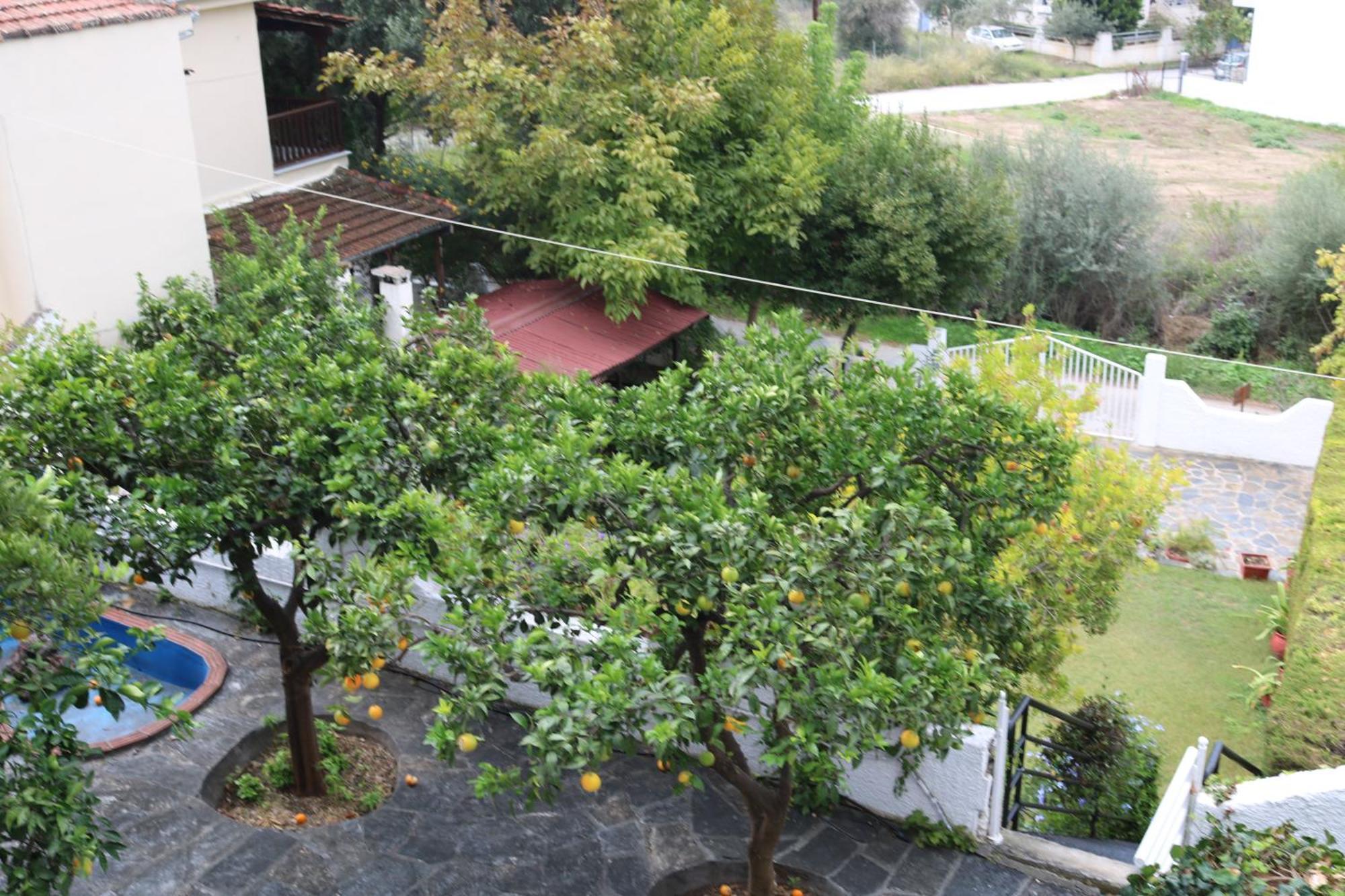 Villa Sofia Marathos  المظهر الخارجي الصورة