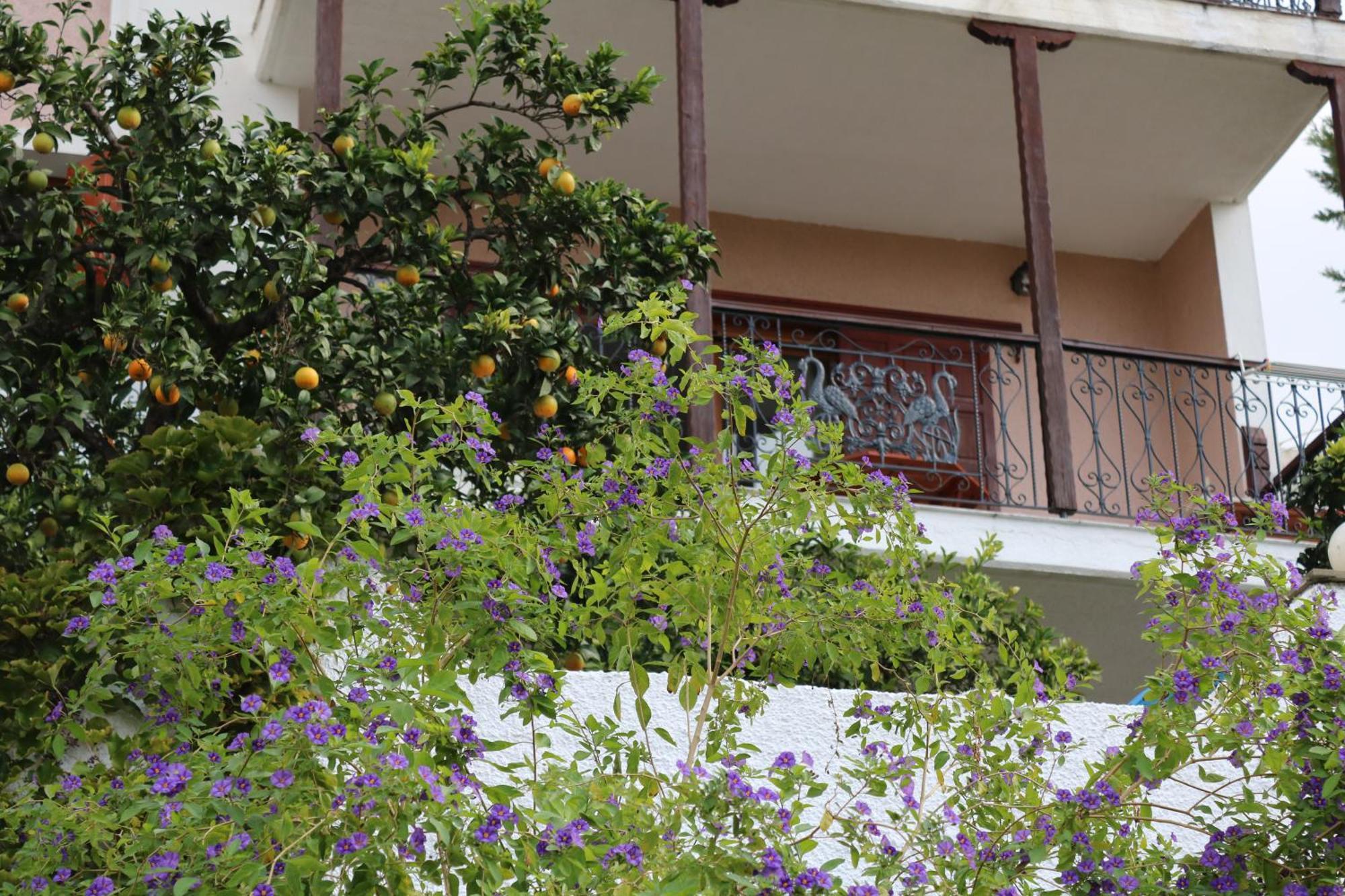 Villa Sofia Marathos  المظهر الخارجي الصورة