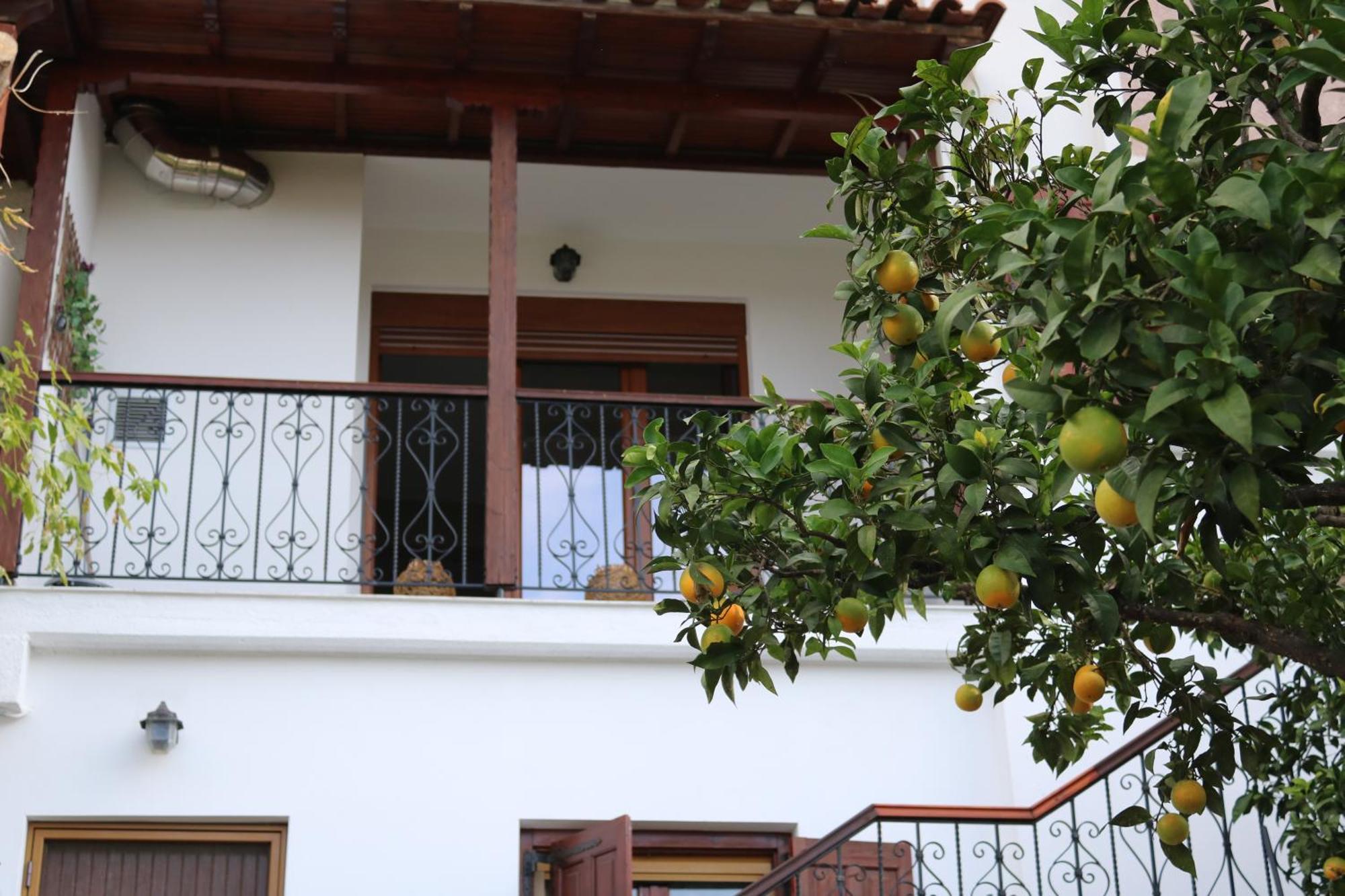 Villa Sofia Marathos  الغرفة الصورة