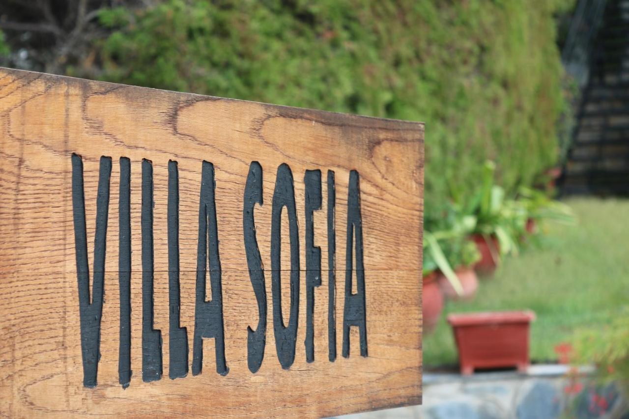 Villa Sofia Marathos  المظهر الخارجي الصورة