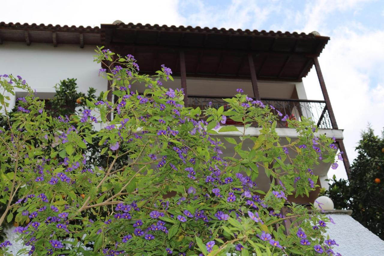 Villa Sofia Marathos  المظهر الخارجي الصورة